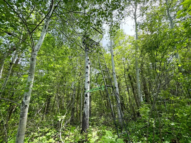 $425,000 | 39309 350th Street Southeast, Fosston, MN 56542