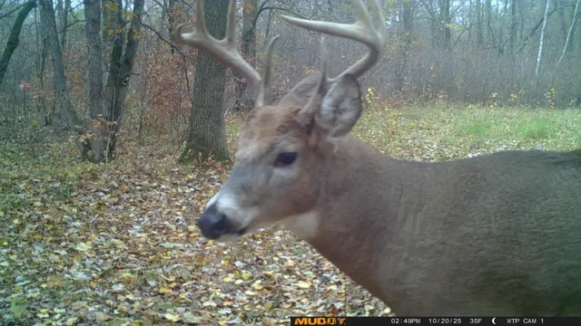 $425,000 | 39309 350th Street Southeast, Fosston, MN 56542