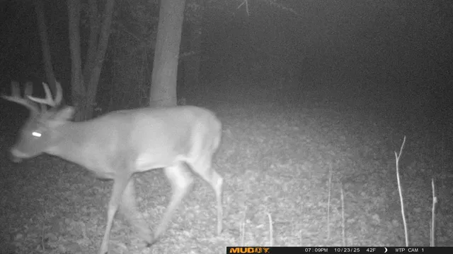 $425,000 | 39309 350th Street Southeast, Fosston, MN 56542