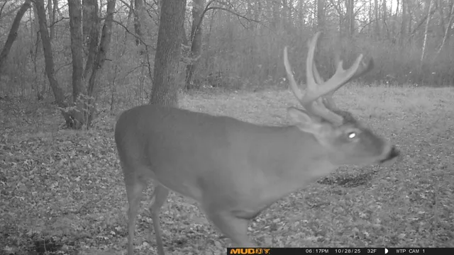 $425,000 | 39309 350th Street Southeast, Fosston, MN 56542