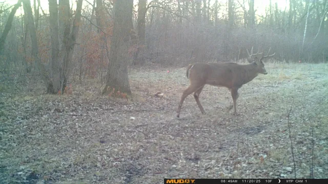 $425,000 | 39309 350th Street Southeast, Fosston, MN 56542