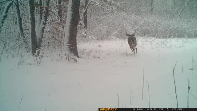 $425,000 | 39309 350th Street Southeast, Fosston, MN 56542