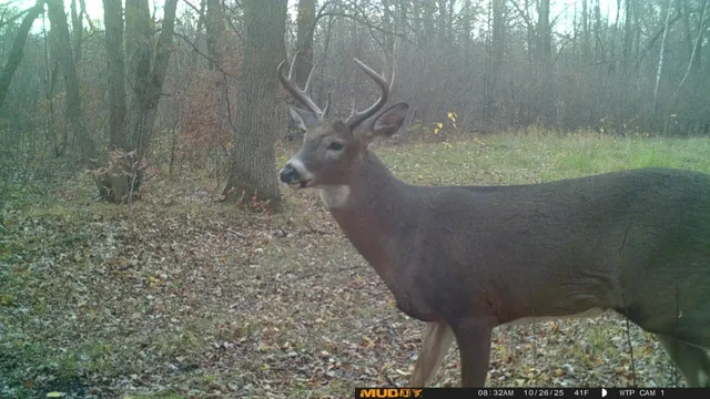 $425,000 | 39309 350th Street Southeast, Fosston, MN 56542