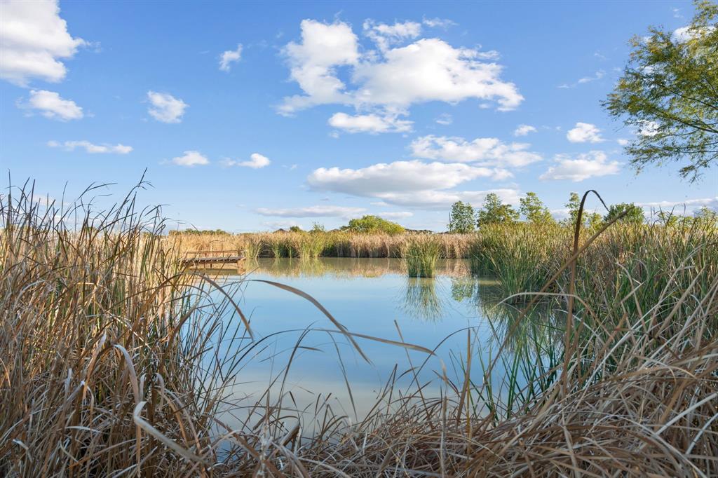 1341 Maxwell Road Haslet, TX 76052 - Photo 3 of 40