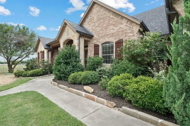 a view of backyard with outdoor seating and plants