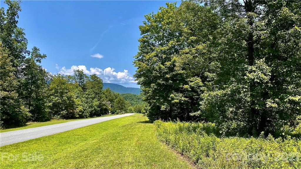 56 Summer View, Unit 56 Rutherfordton, NC 28139 - Photo 3 of 14 a view of a yard with a tree
