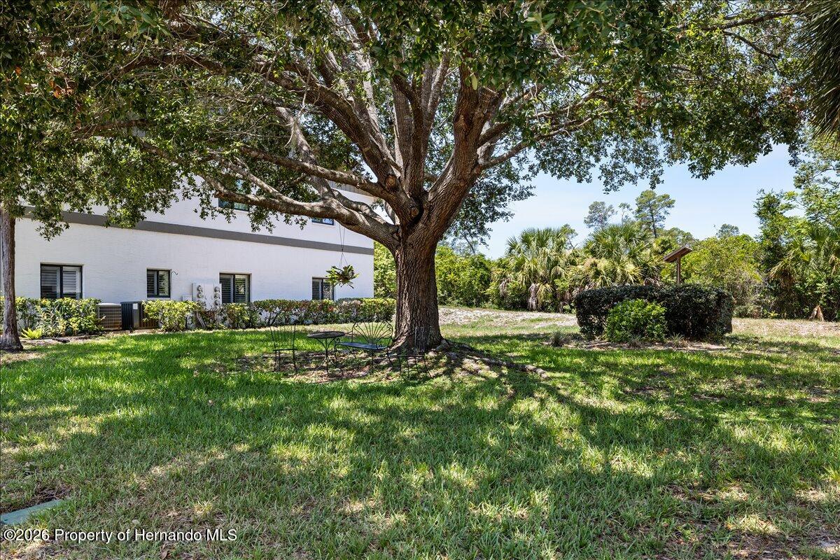 6653 River Run Boulevard Weeki Wachee, FL 34607 - Photo 32 of 55