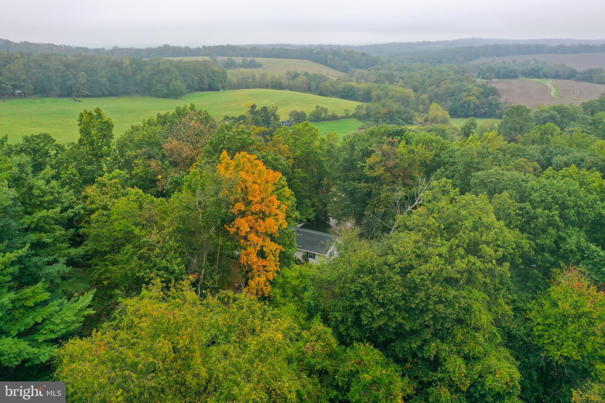 2321 Manchester Road Westminster, MD 21157 - Photo 59 of 66