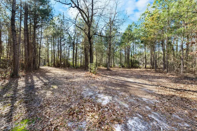 $425,000 | 265 Country Club Drive, Wallace, NC 28466