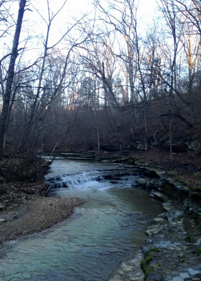 11 Andys Run Waterloo, IL 62298 - Photo 51 of 63