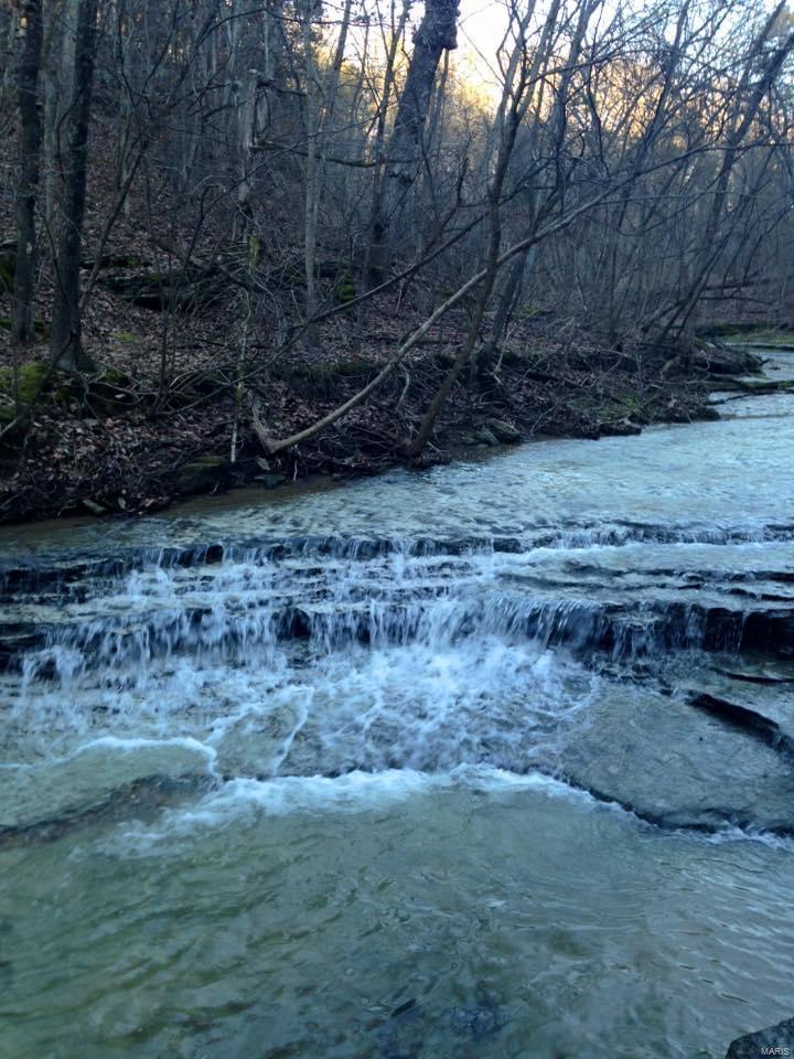 11 Andys Run Waterloo, IL 62298 - Photo 52 of 63