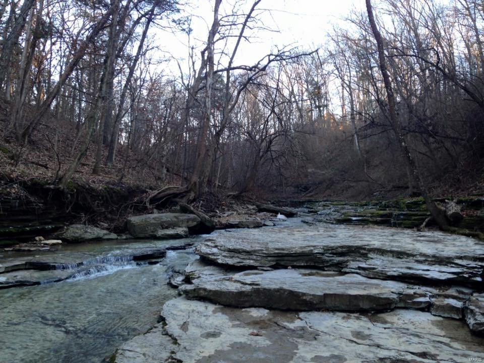 11 Andys Run Waterloo, IL 62298 - Photo 53 of 63