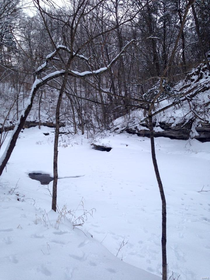 11 Andys Run Waterloo, IL 62298 - Photo 54 of 63