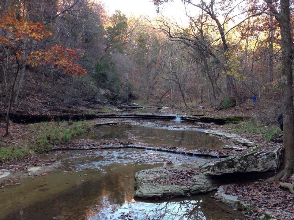 11 Andys Run Waterloo, IL 62298 - Photo 56 of 63