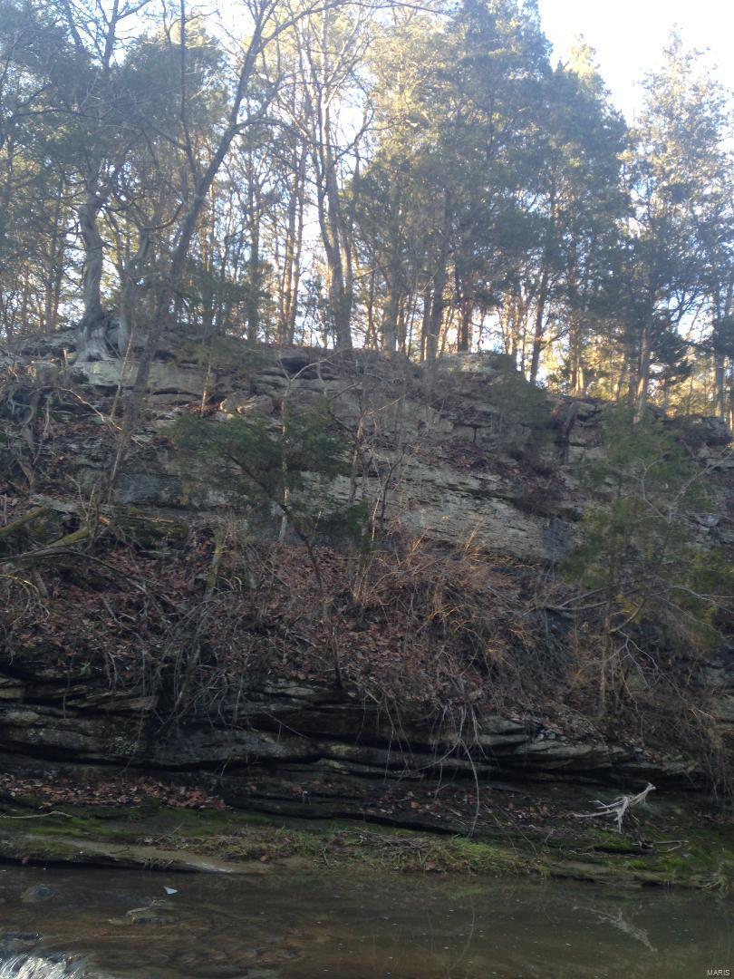 11 Andys Run Waterloo, IL 62298 - Photo 57 of 63