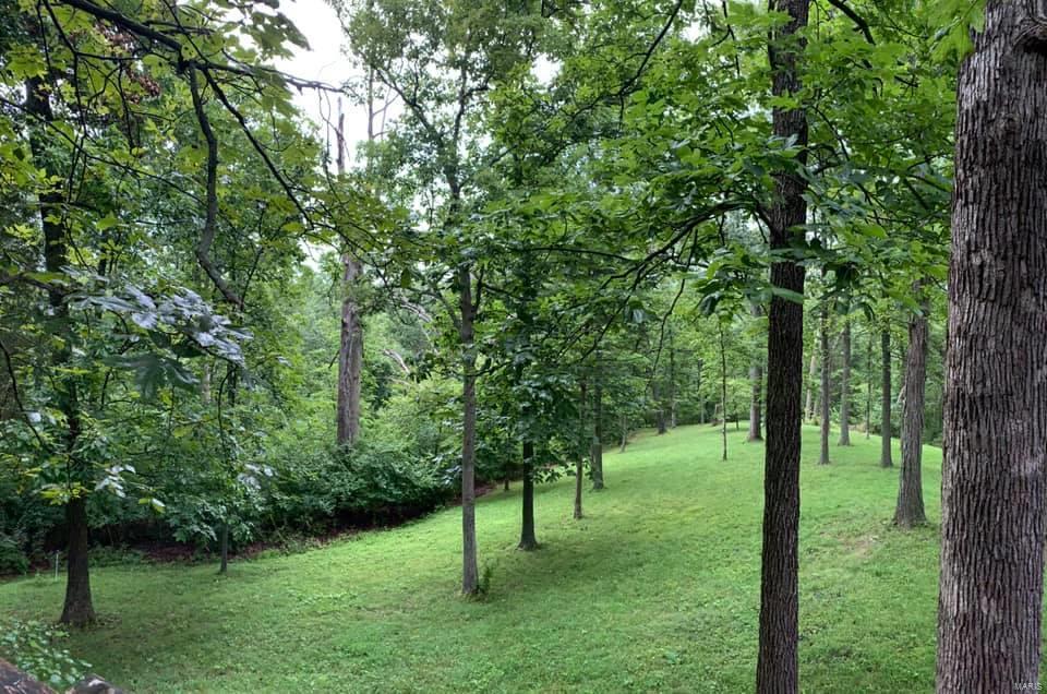 11 Andys Run Waterloo, IL 62298 - Photo 58 of 63