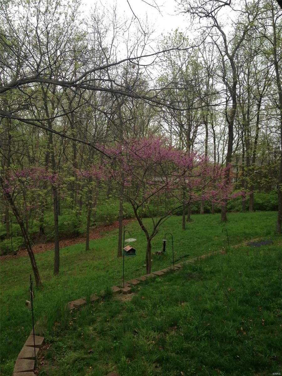 11 Andys Run Waterloo, IL 62298 - Photo 59 of 63