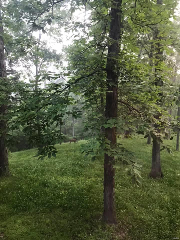 11 Andys Run Waterloo, IL 62298 - Photo 60 of 63