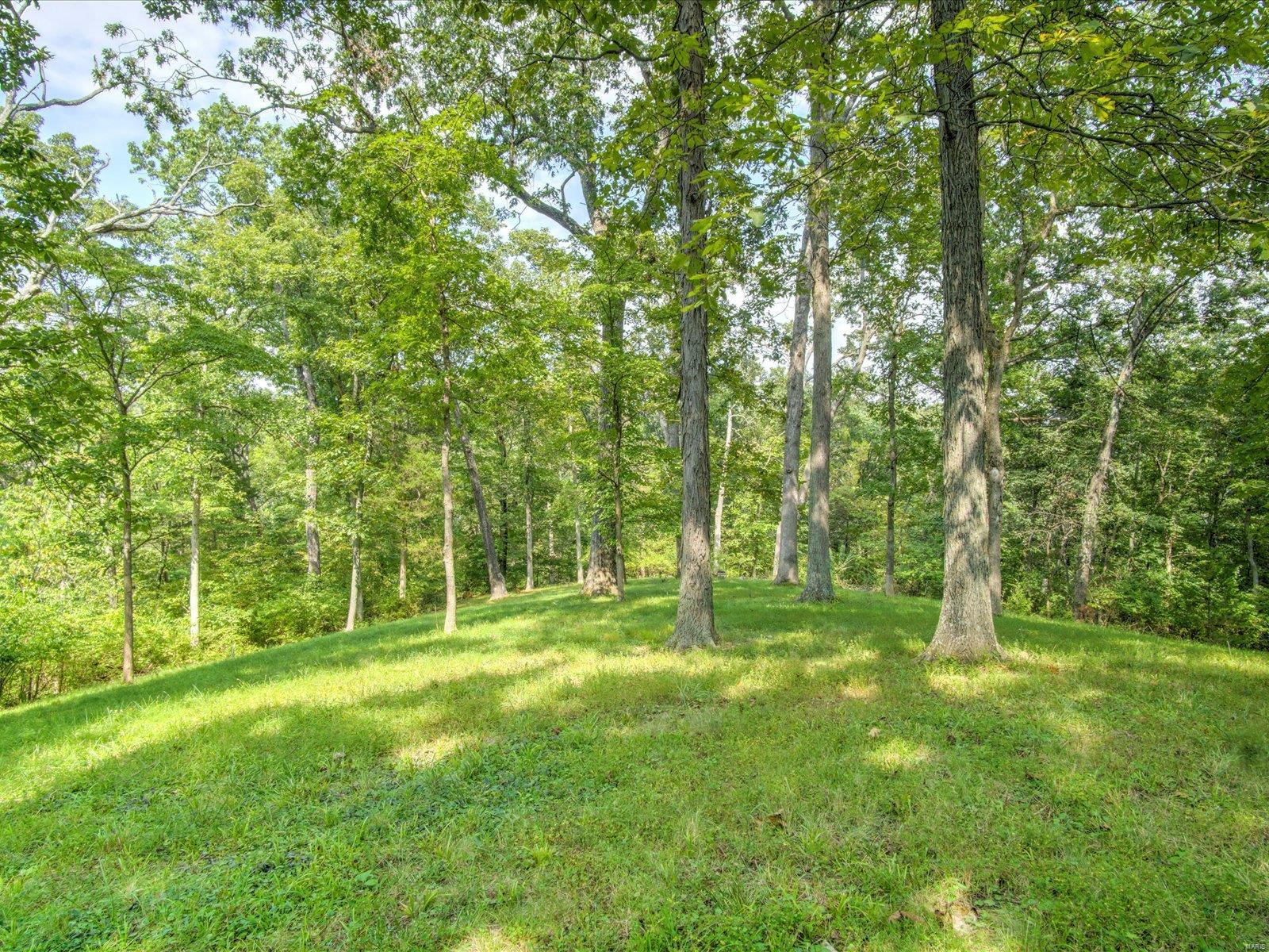 11 Andys Run Waterloo, IL 62298 - Photo 8 of 63