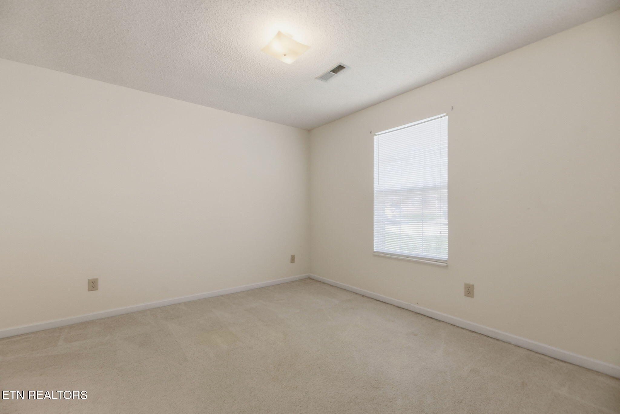8024 Hansboro Way Powell, TN 37849 - Photo 15 of 21 15-web-or-mls-Hnsb8024 (2)