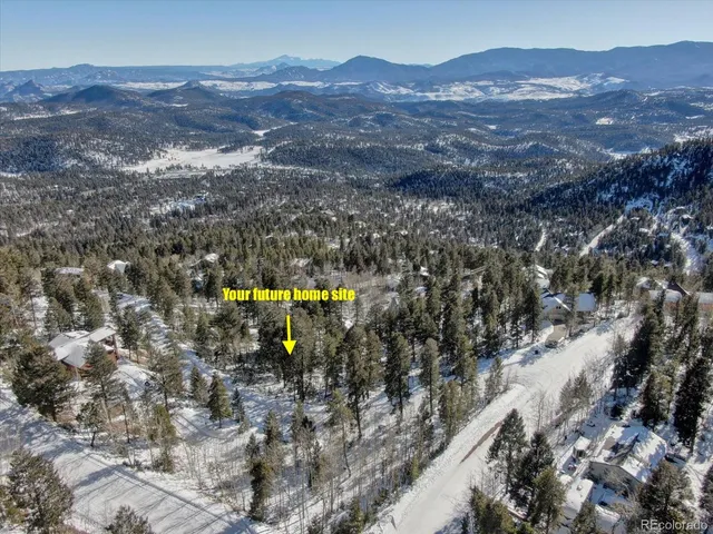 a view of a forest with mountains in the background