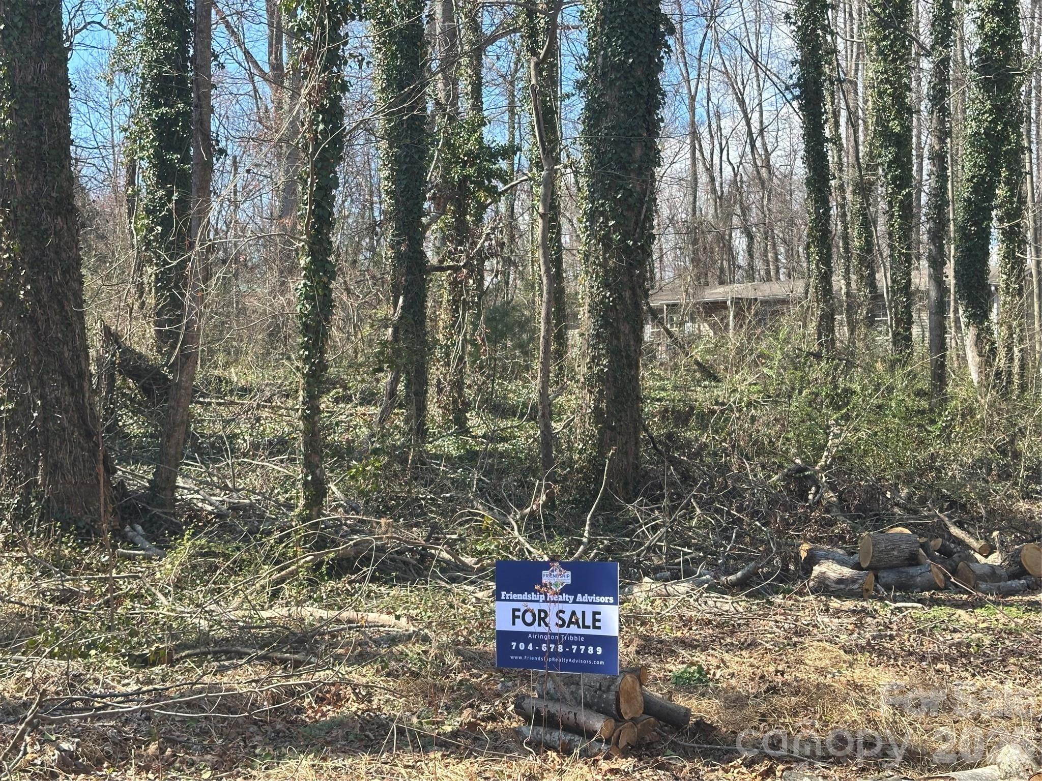 99999 Caribou Road Asheville, NC 28803 - Photo 4 of 12