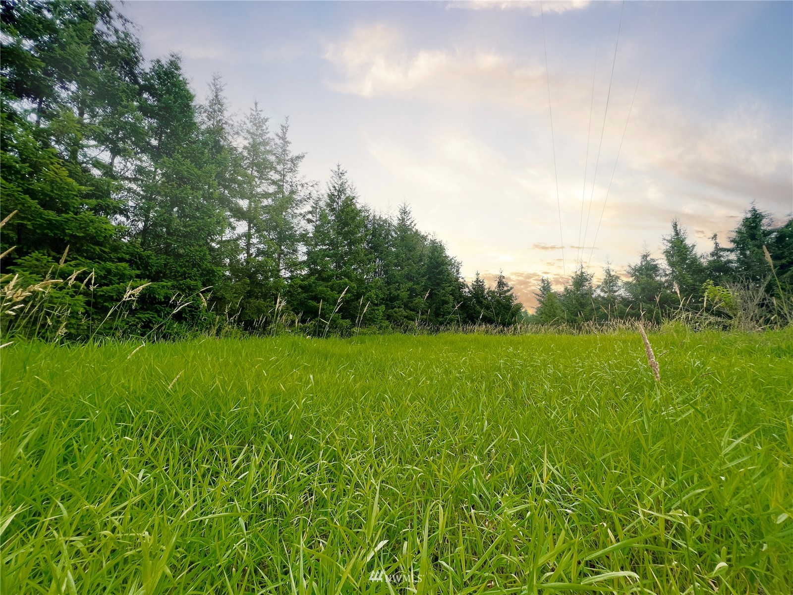 10312 272nd Street East Graham, WA 98338 - Photo 18 of 27 a view of a green field with wooden fence