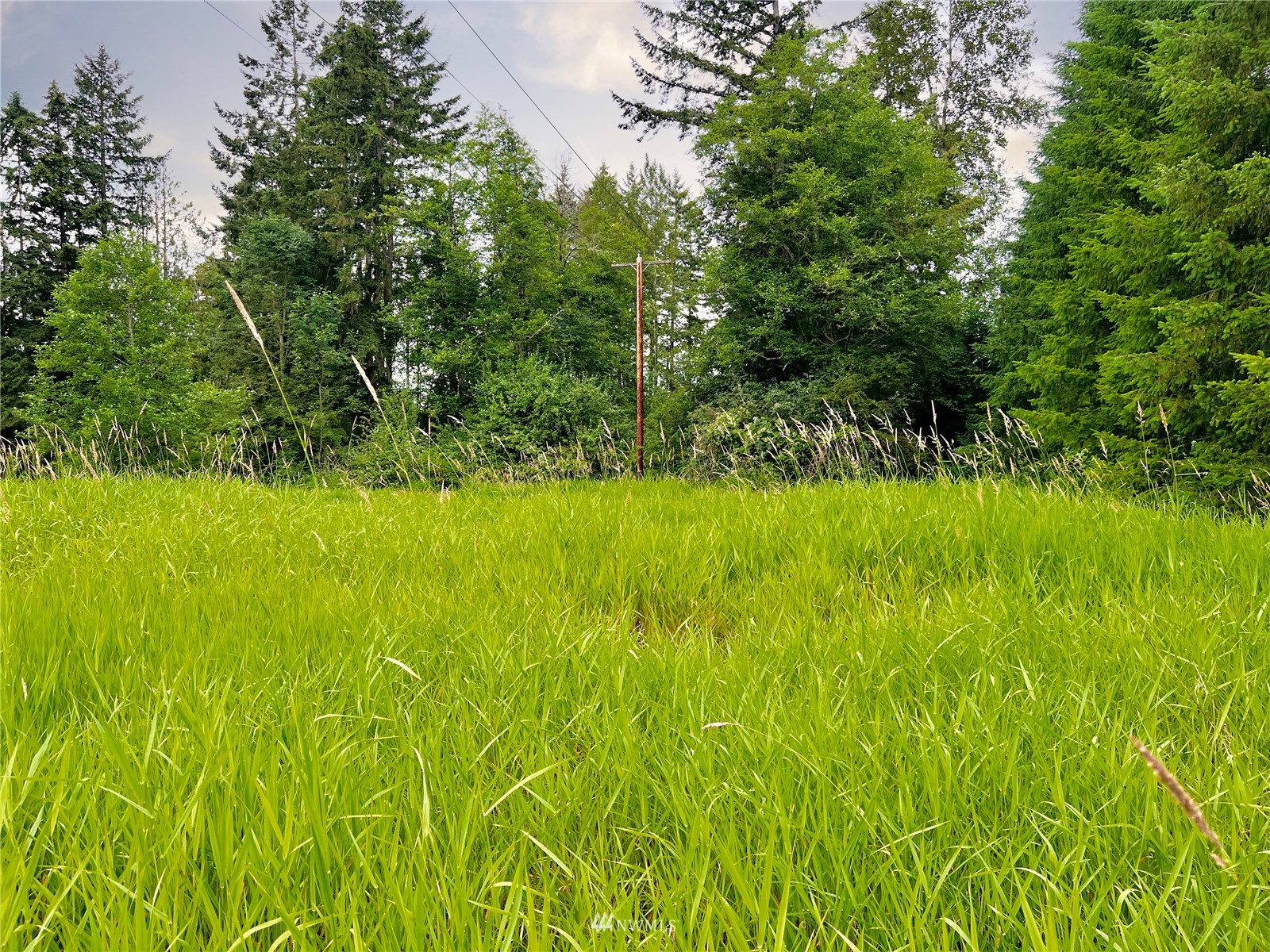 10312 272nd Street East Graham, WA 98338 - Photo 19 of 27 a view of a garden