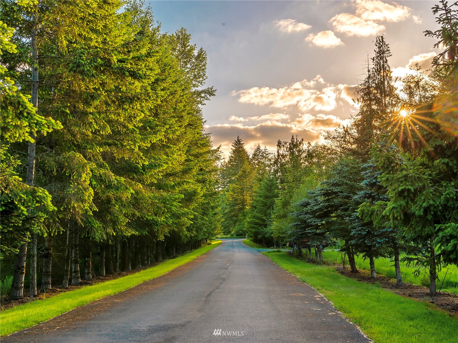 10312 272nd Street East Graham, WA 98338 - Photo 20 of 27 a view of a road with a yard