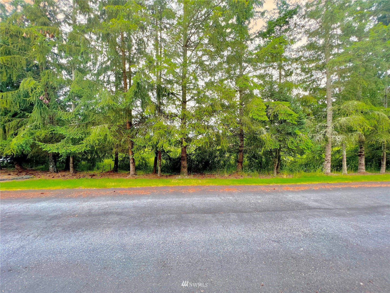 10312 272nd Street East Graham, WA 98338 - Photo 22 of 27 a view of an empty room with an outdoor space