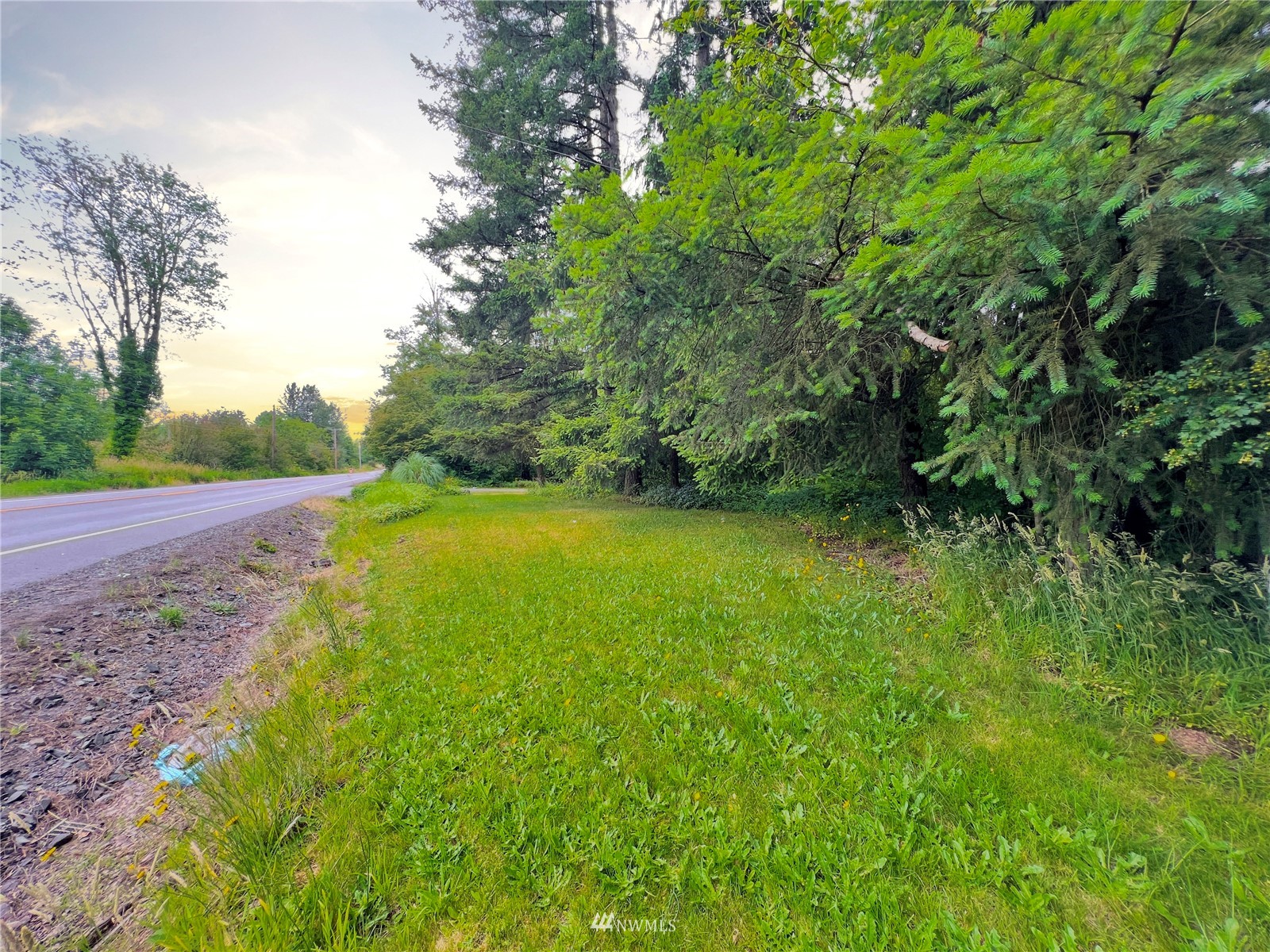 10312 272nd Street East Graham, WA 98338 - Photo 24 of 27 a view of a yard with a tree