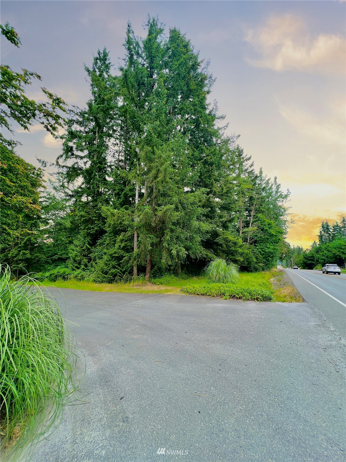 10312 272nd Street East Graham, WA 98338 - Photo 25 of 27 a view of outdoor space yard and green space