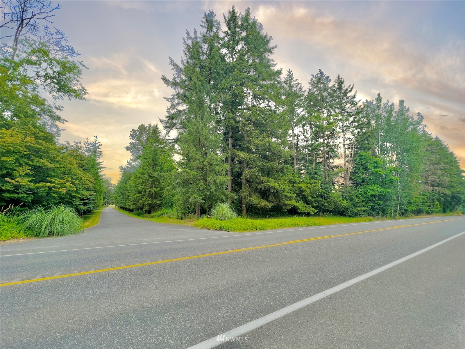 10312 272nd Street East Graham, WA 98338 - Photo 26 of 27 a view of a road with a yard and large trees