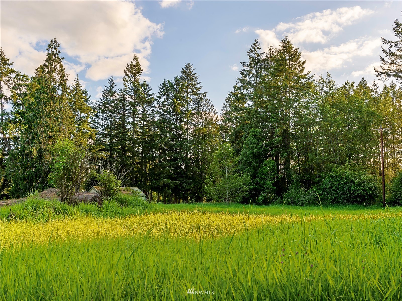 10312 272nd Street East Graham, WA 98338 - Photo 5 of 27 a view of outdoor space and yard