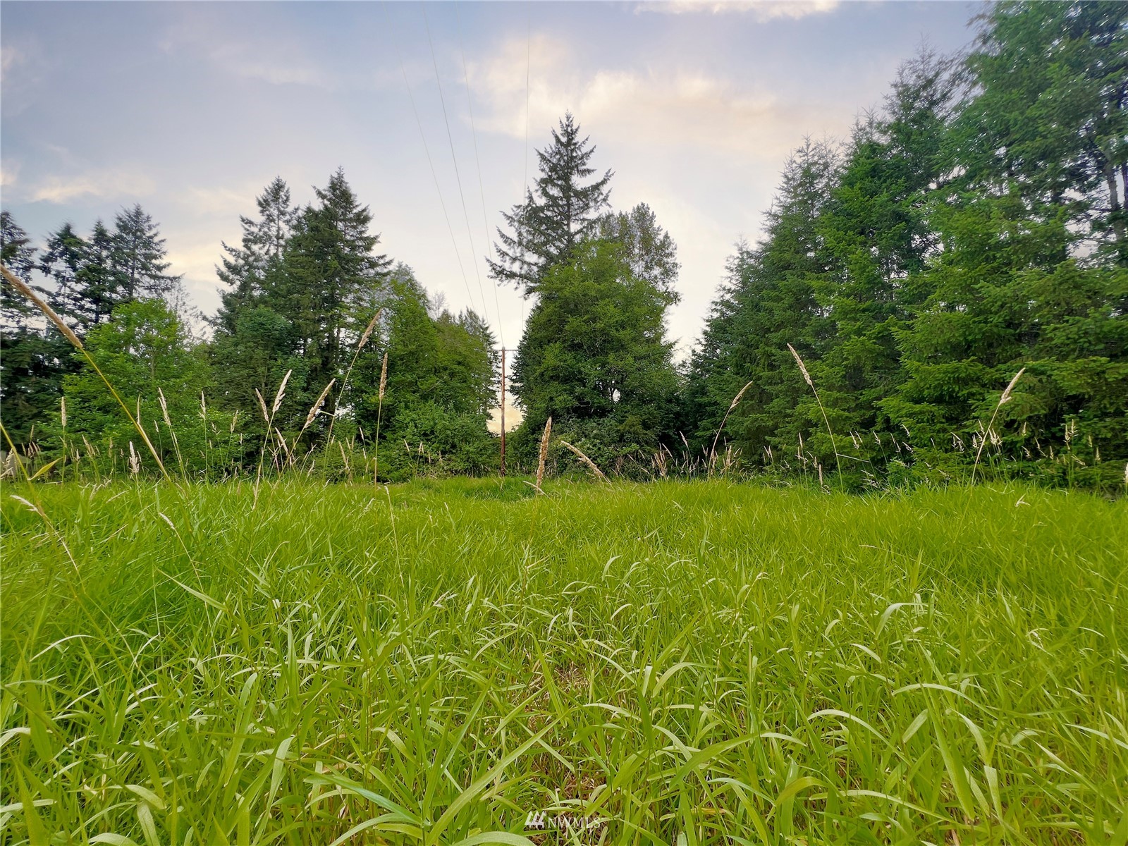 10312 272nd Street East Graham, WA 98338 - Photo 6 of 27 a view of an outdoor space and a yard