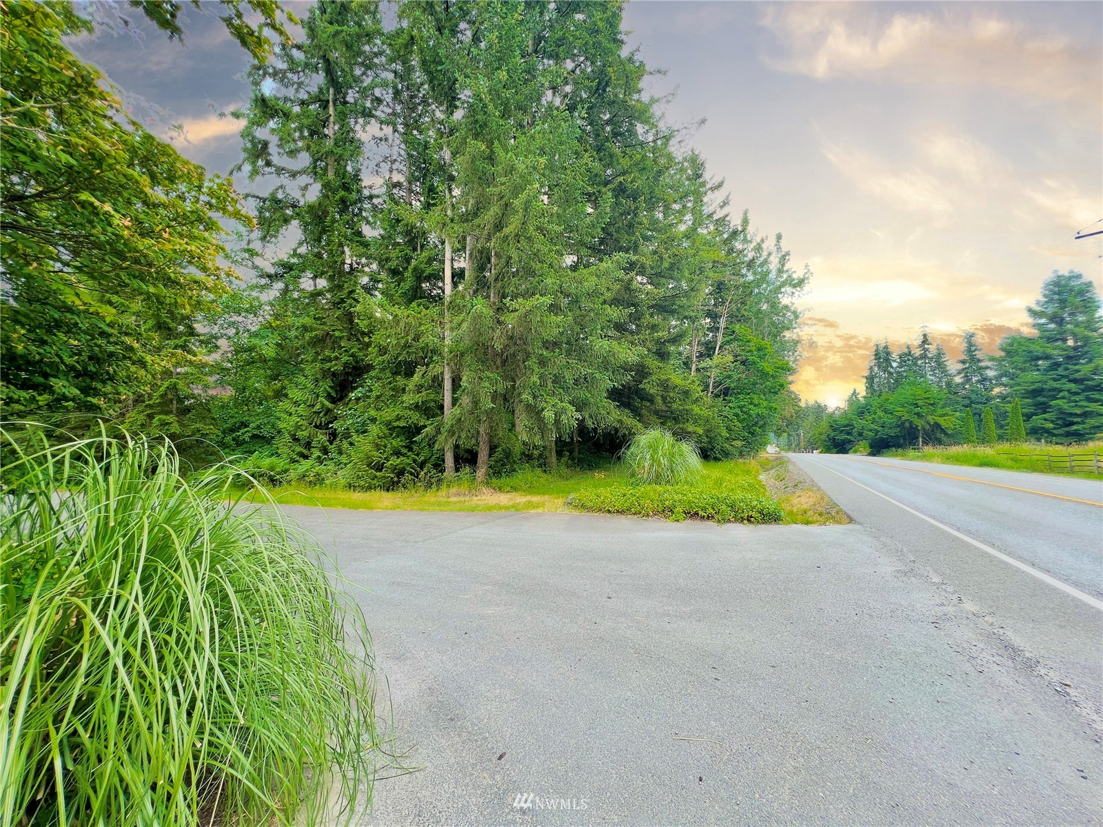 10312 272nd Street East Graham, WA 98338 - Photo 8 of 27 a view of a road with a yard