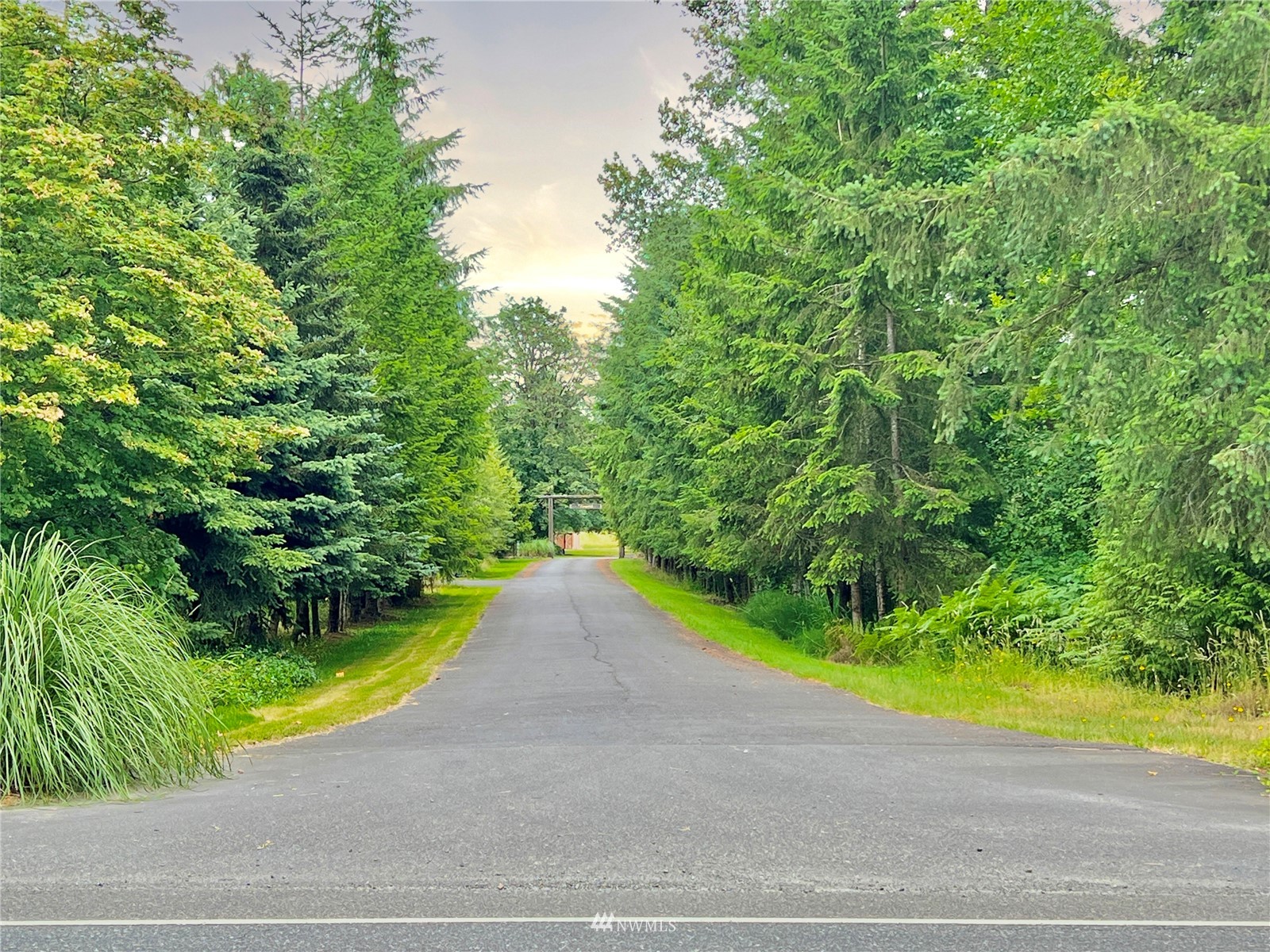 10312 272nd Street East Graham, WA 98338 - Photo 9 of 27 a view of a road with a yard