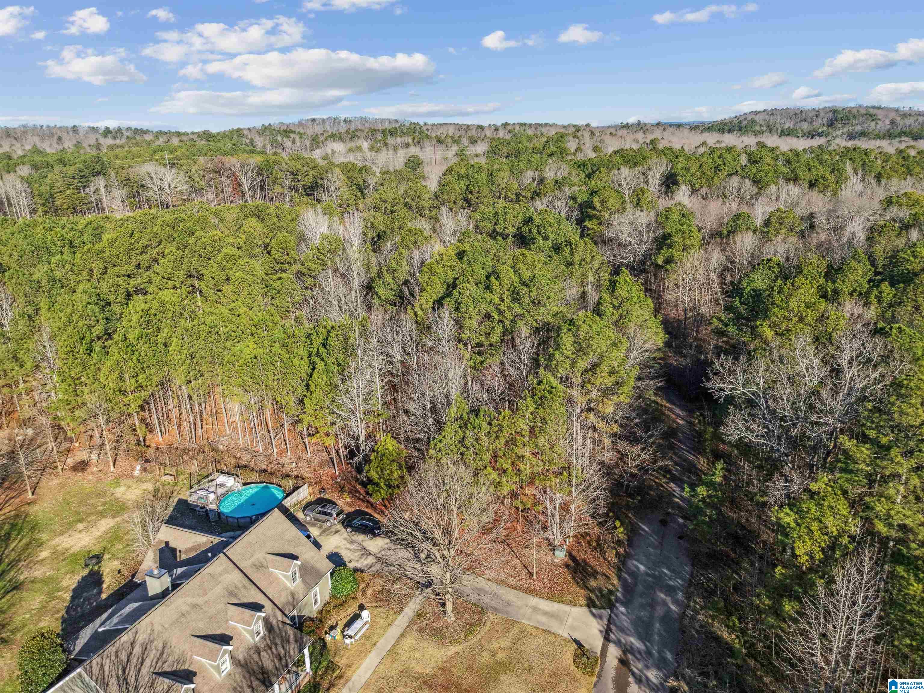 0 Branch Cove, Unit PHASE 2 Odenville, AL 35120 - Photo 27 of 32