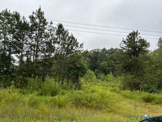a view of a yard and mountain view in back