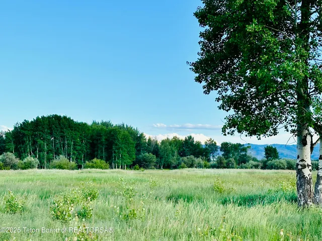 $1,300,000 | Tbd South Bates Road, Driggs, ID 83422