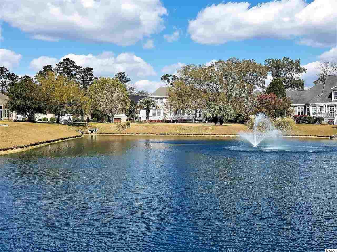 129 Hagar Brown Road Murrells Inlet, SC 29576 - Photo 33 of 40 Gallery Image 33