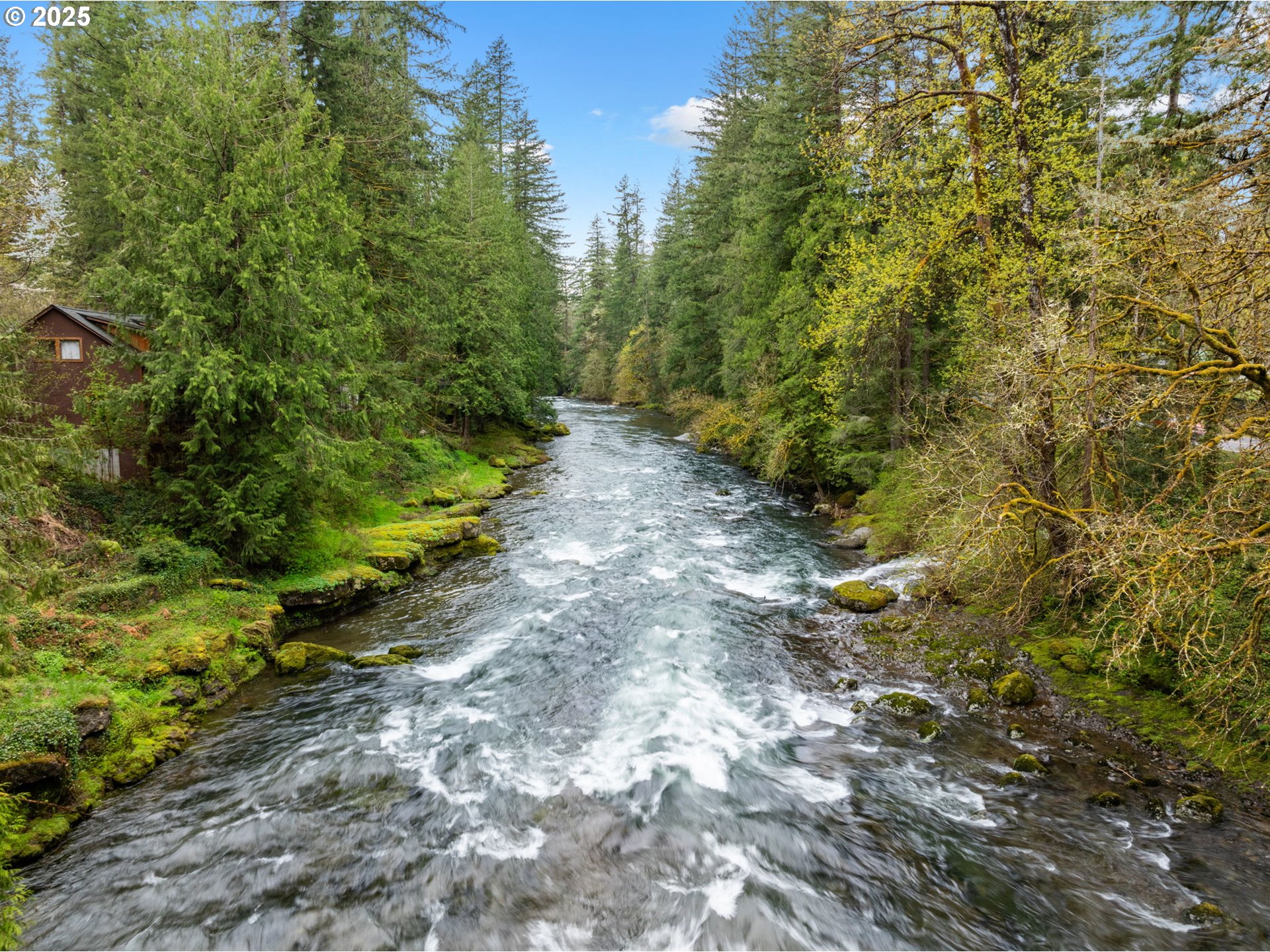 18308 Northeast Cole-Witter Road Battle Ground, WA 98604 - Photo 11 of 36 Gallery Image 11