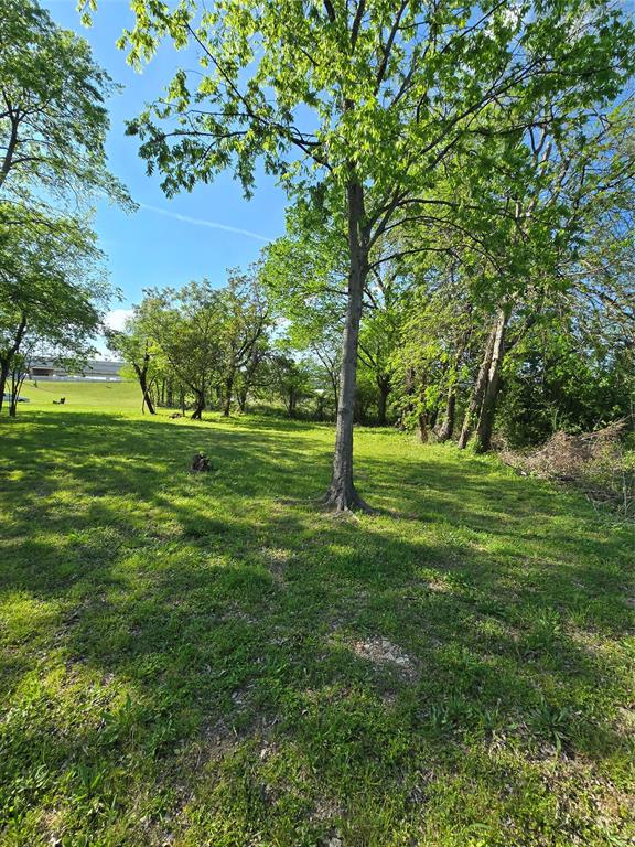 823 Millard Street Dallas, TX 75203 - Photo 11 of 25 a view of a field with a tree