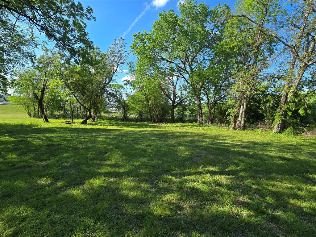 823 Millard Street Dallas, TX 75203 - Photo 12 of 25 a view of a grassy field with trees