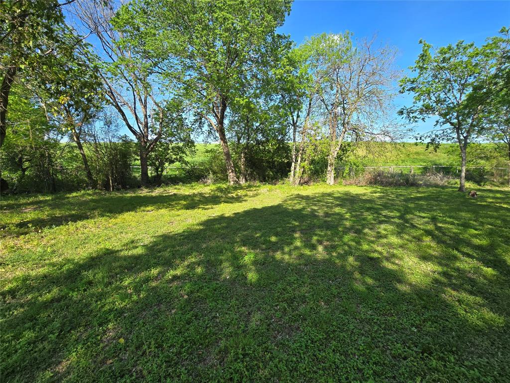 823 Millard Street Dallas, TX 75203 - Photo 13 of 25 a view of a yard with a tree