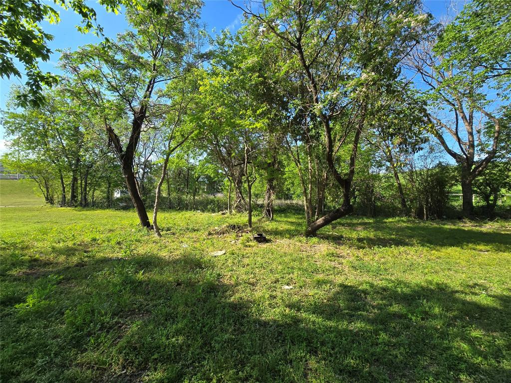 823 Millard Street Dallas, TX 75203 - Photo 14 of 25 a backyard of a house with swimming pool and green space