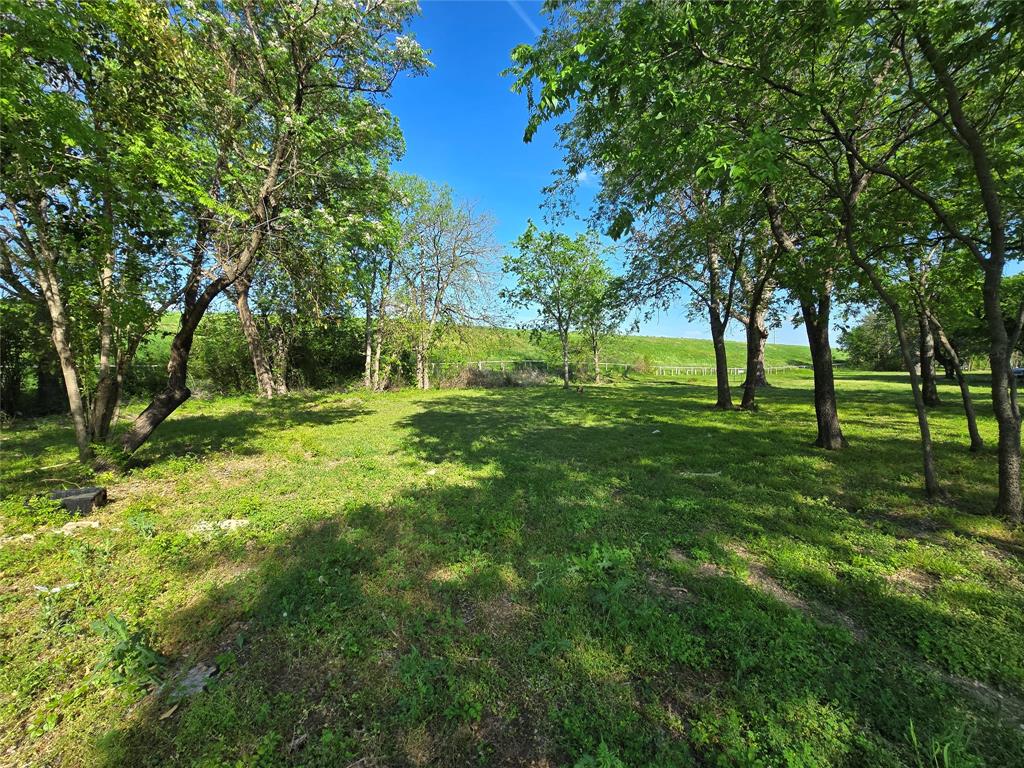 823 Millard Street Dallas, TX 75203 - Photo 16 of 25 a large yard with lots of green space and trees