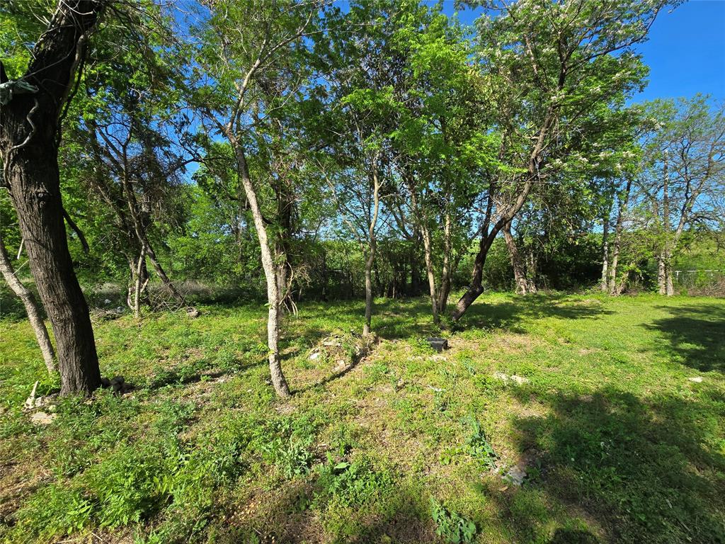 823 Millard Street Dallas, TX 75203 - Photo 17 of 25 a view of a tree in a yard