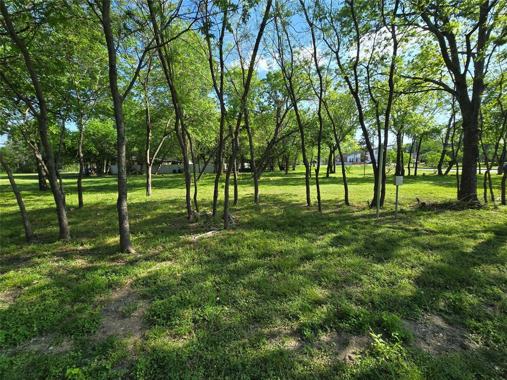 823 Millard Street Dallas, TX 75203 - Photo 18 of 25 a view of park with trees