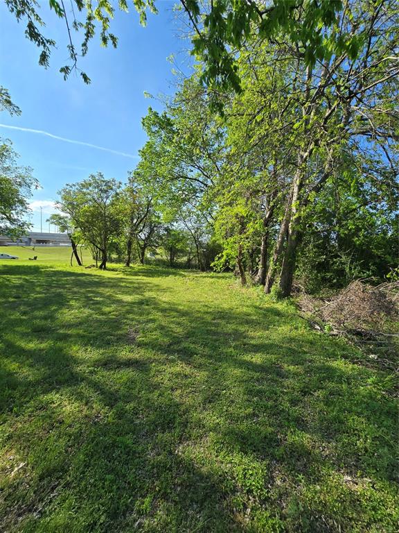 823 Millard Street Dallas, TX 75203 - Photo 5 of 25 a view of a green field with clear tree